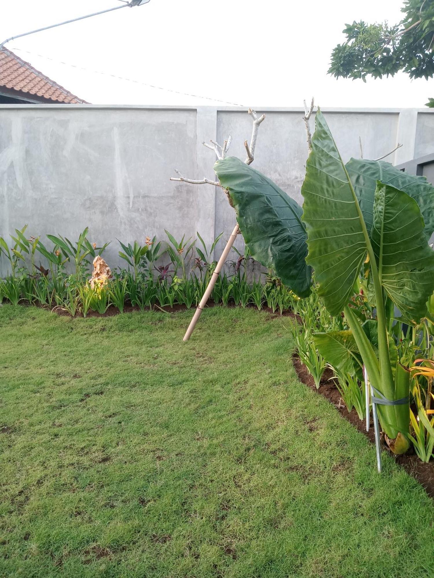 Parama Homestay Balangan Uluwatu Esterno foto