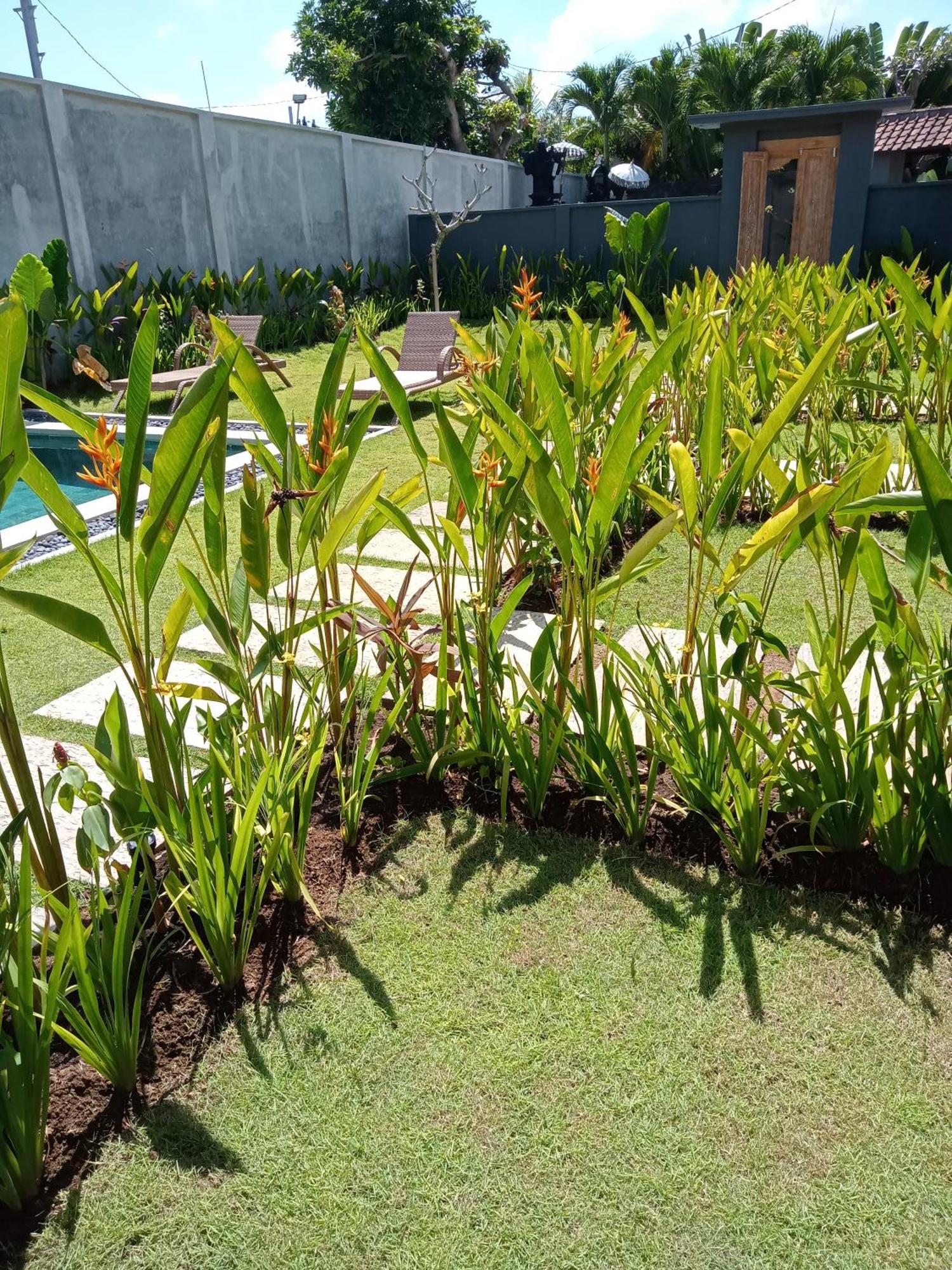 Parama Homestay Balangan Uluwatu Esterno foto